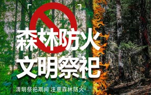 清明節：文明祭奠、預防火災